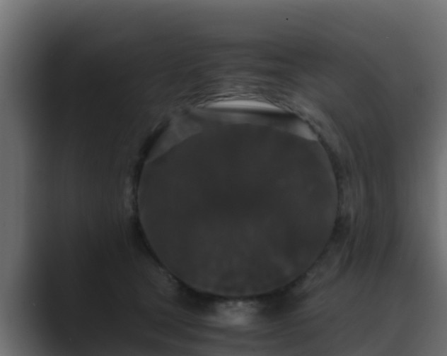 X0000089670465200706281342