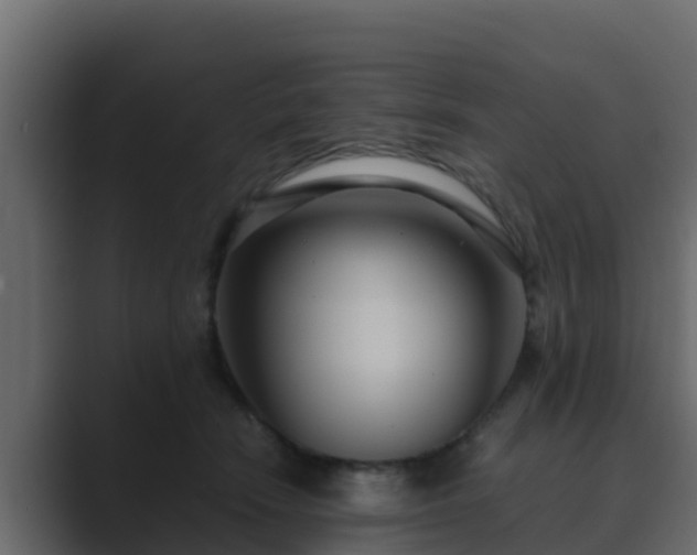 X0000089670466200706281342