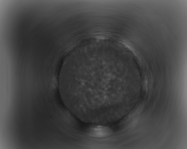 X0000089670467200706281342