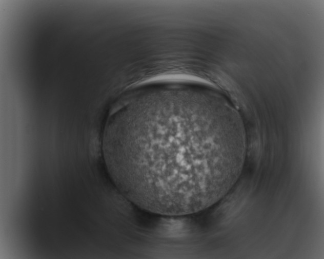 X0000089670469200706281342