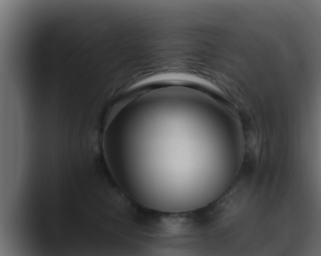 X0000089670470200706281342