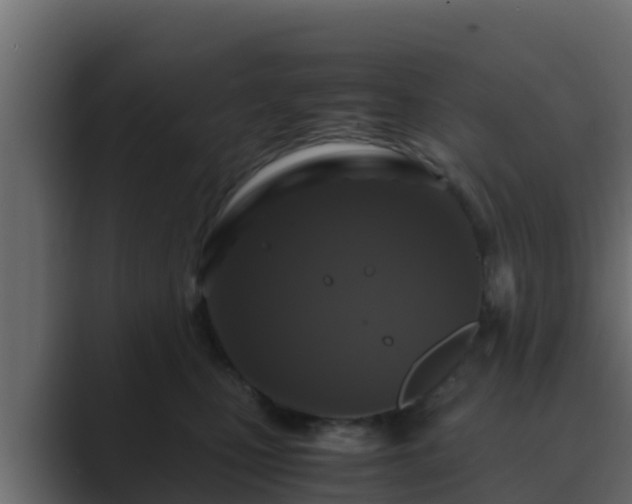 X0000089670471200706281342