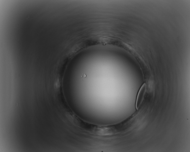 X0000089670472200706281342