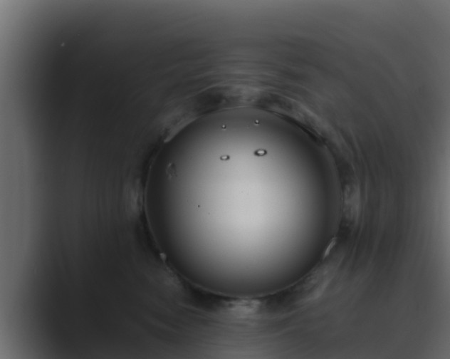 X0000089670474200706281342