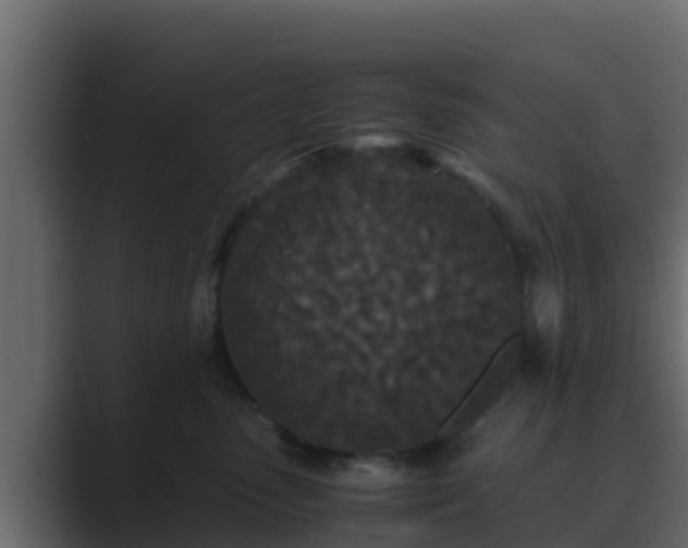 X0000089670475200706281342