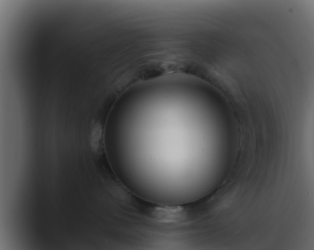 X0000089670480200706281343