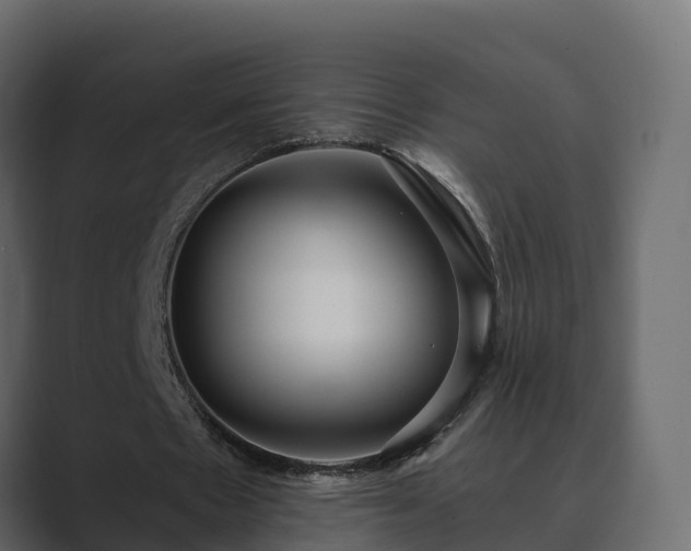 X0000089670481200706281342