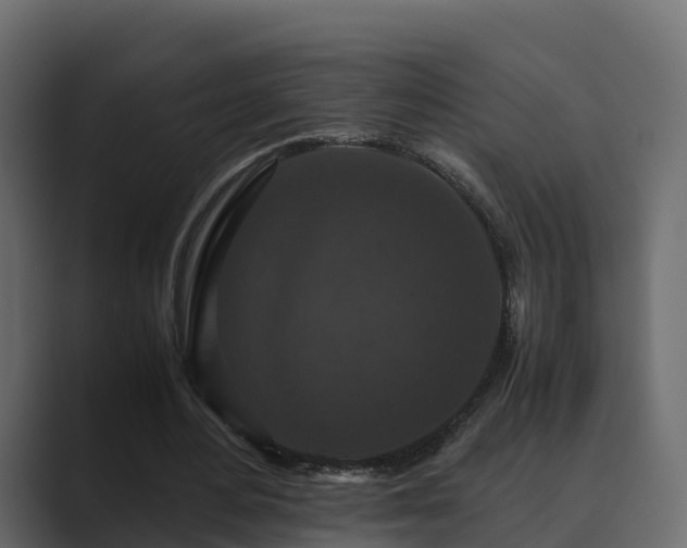 X0000089670484200706281342