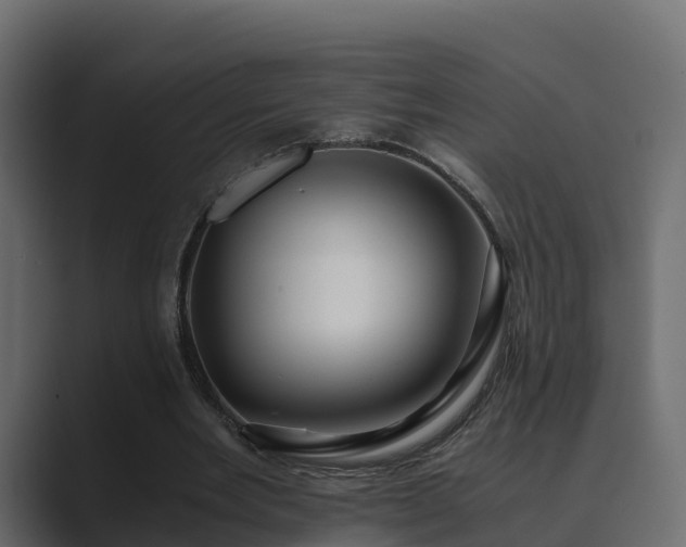 X0000089670485200706281342