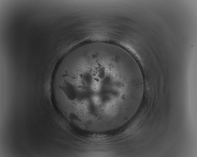 X0000089670487200706281342