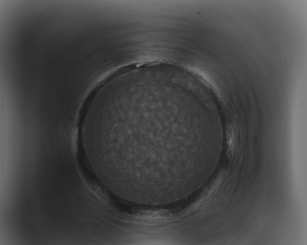 X0000089670488200706281342