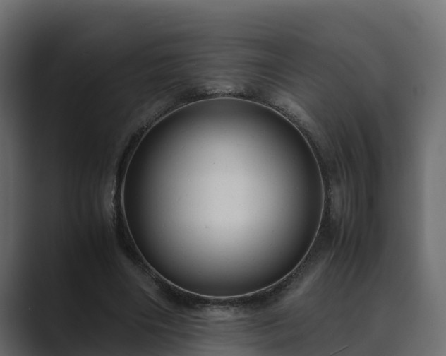 X0000089670490200706281342