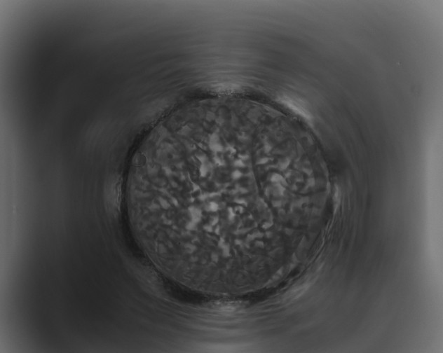 X0000089670495200706281342