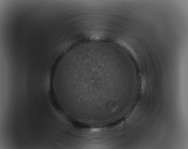 X0000089670496200706281342