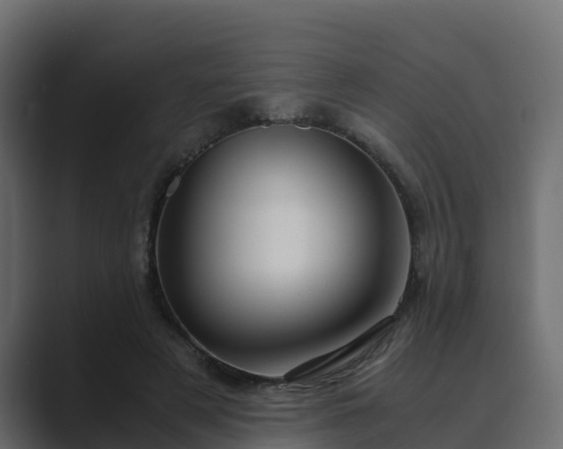 X0000089670497200706281342