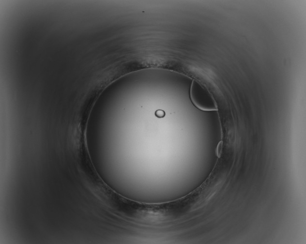 X0000089670498200706281342