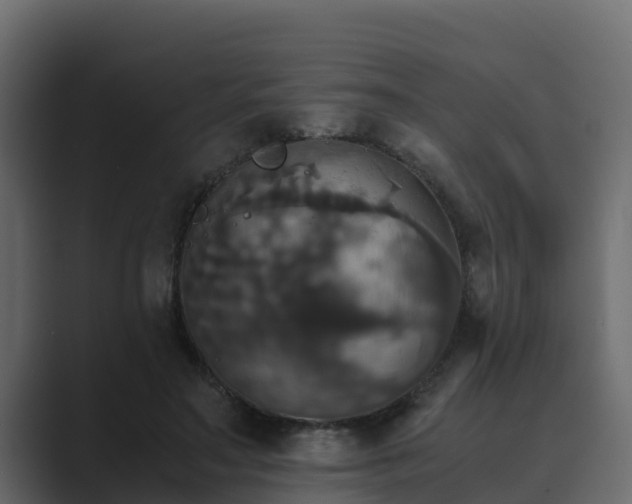 X0000089670499200706281342