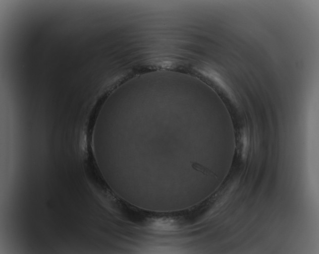 X0000089670500200706281342