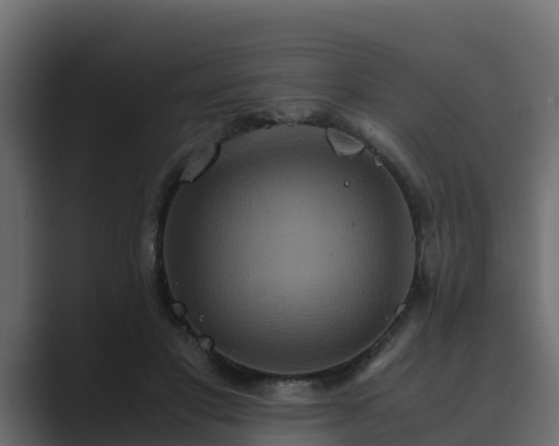 X0000089670501200706281342