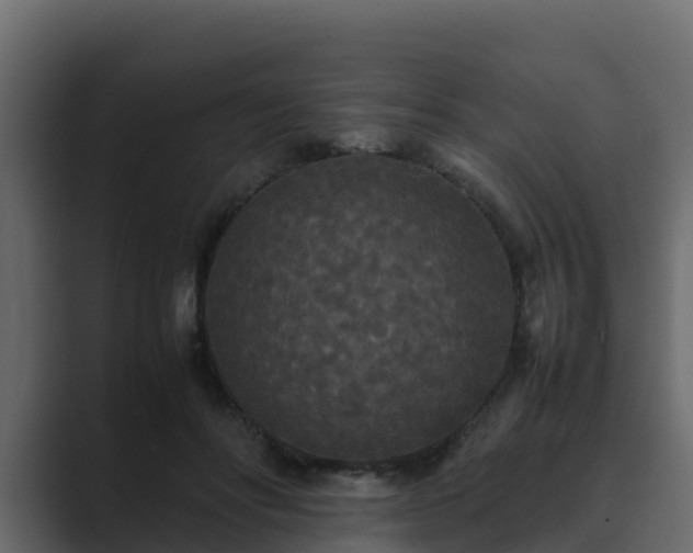 X0000089670502200706281342
