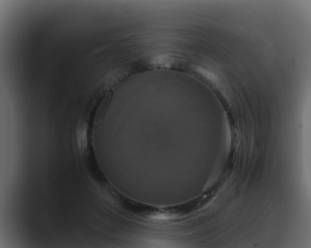 X0000089670504200706281342