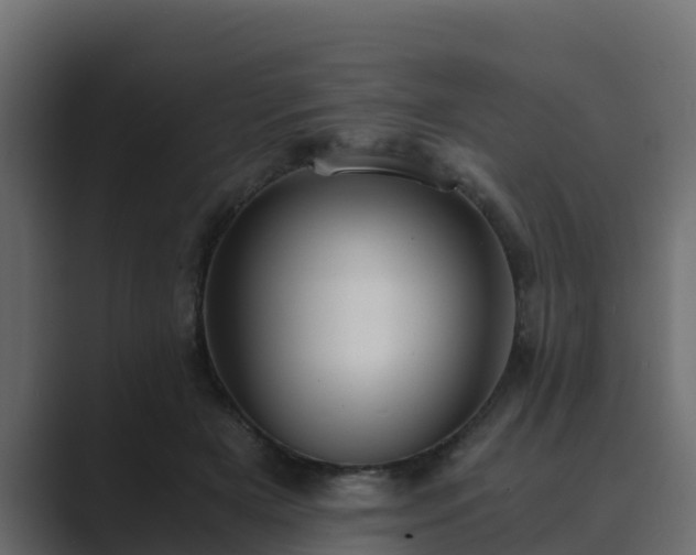 X0000089670505200706281342