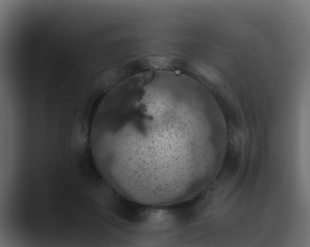 X0000089670507200706281342