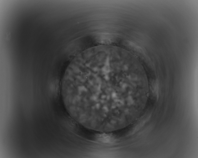 X0000089670511200706281342