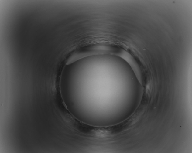 X0000089670512200706281342
