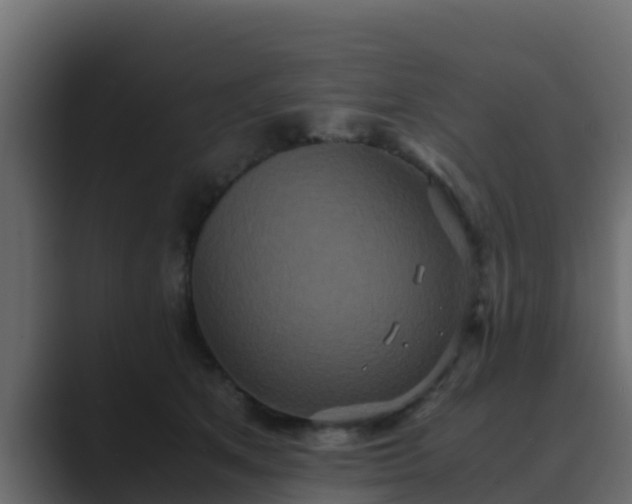 X0000089670513200706281342