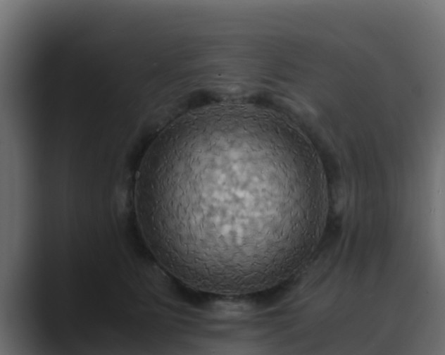 X0000089670515200706281342