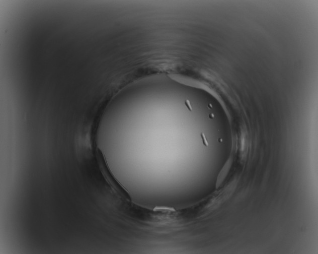X0000089670516200706281342