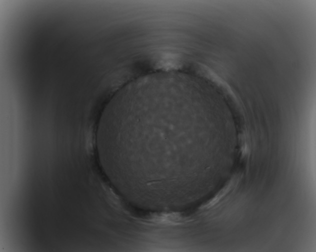 X0000089670517200706281342