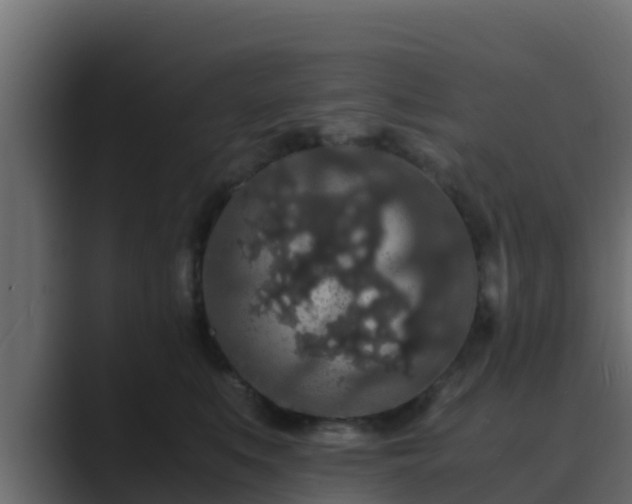 X0000089670519200706281342