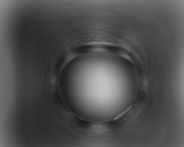 X0000089670521200706281342
