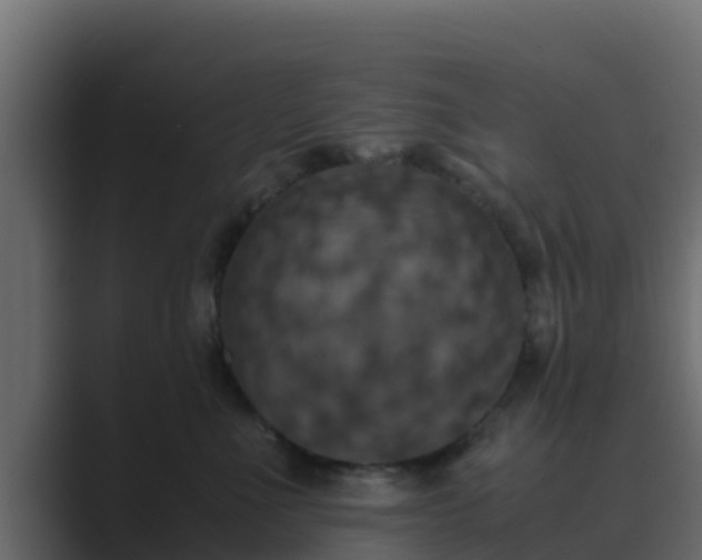 X0000089670523200706281341
