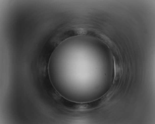 X0000089670525200706281341
