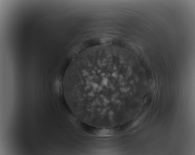 X0000089670527200706281341