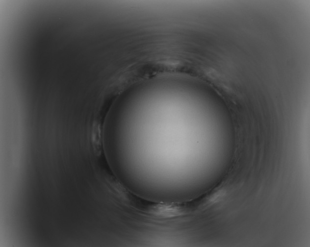 X0000089670528200706281341