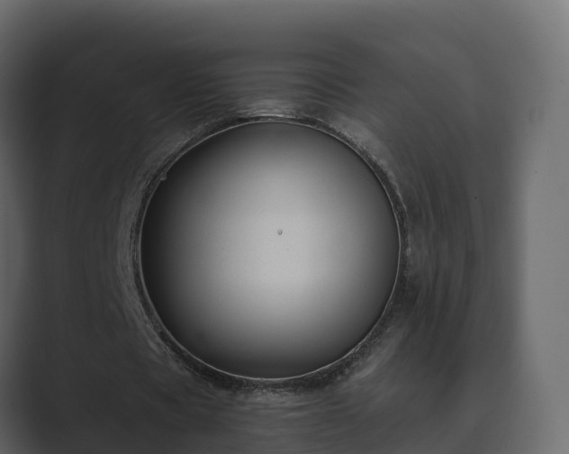X0000089670529200706281341