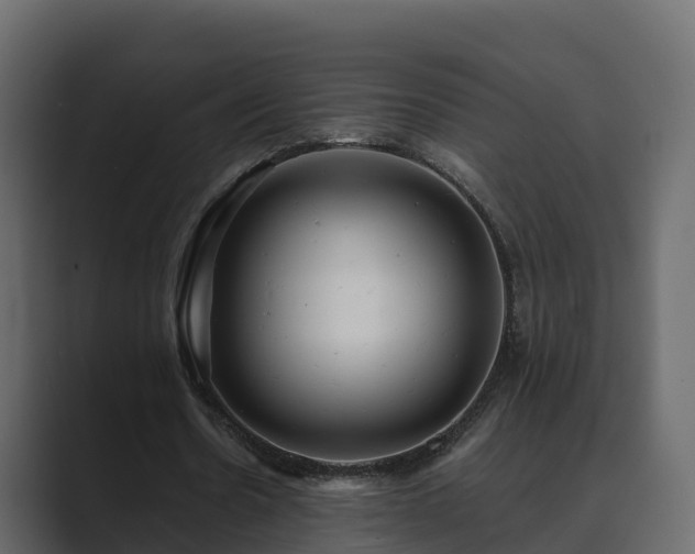 X0000089670530200706281341