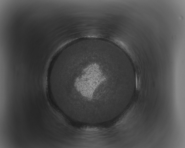 X0000089670531200706281341