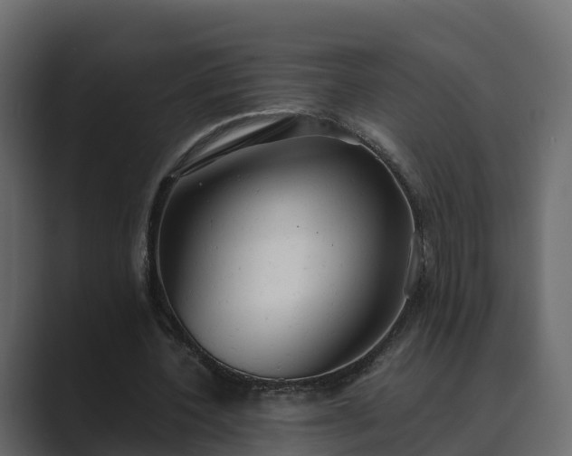 X0000089670532200706281341