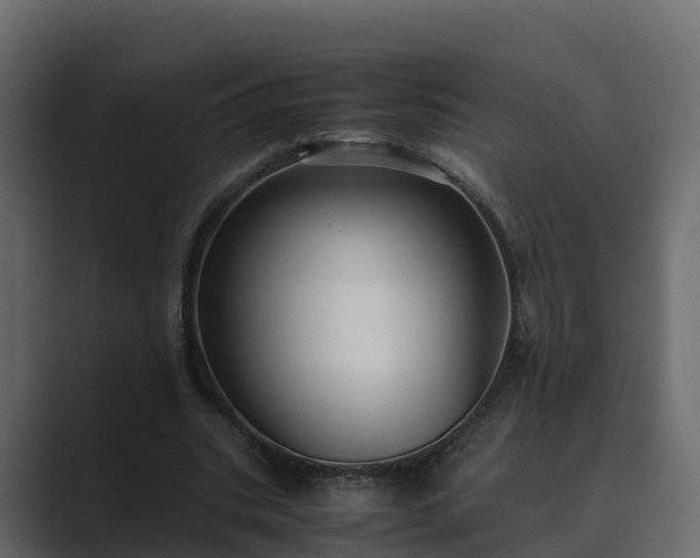 X0000089670535200706281341