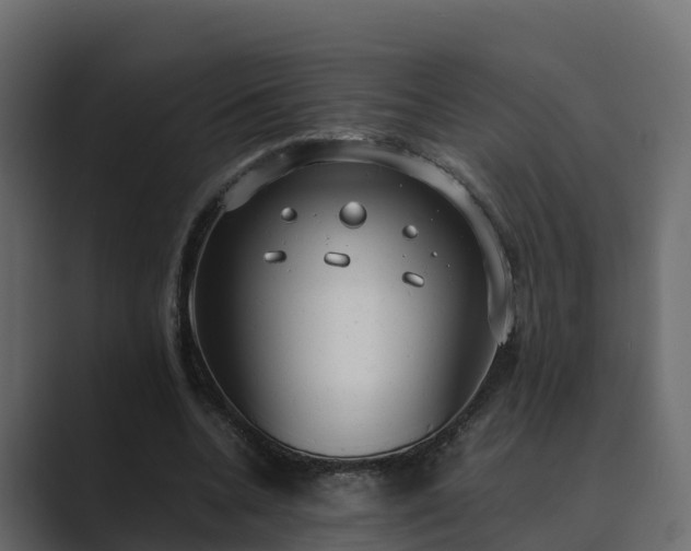 X0000089670536200706281341