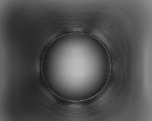 X0000089670537200706281341