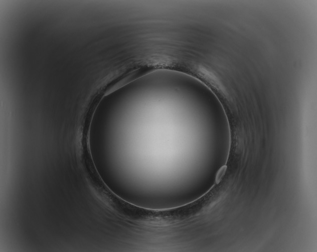 X0000089670538200706281341