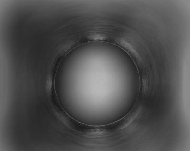 X0000089670541200706281341