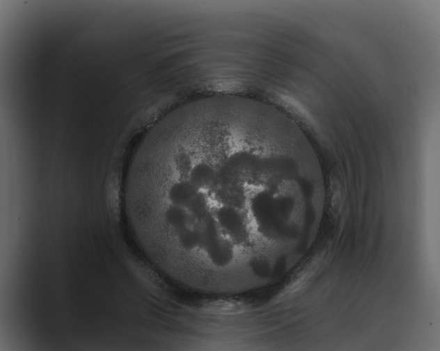 X0000089670542200706281341