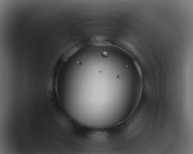 X0000089670543200706281341